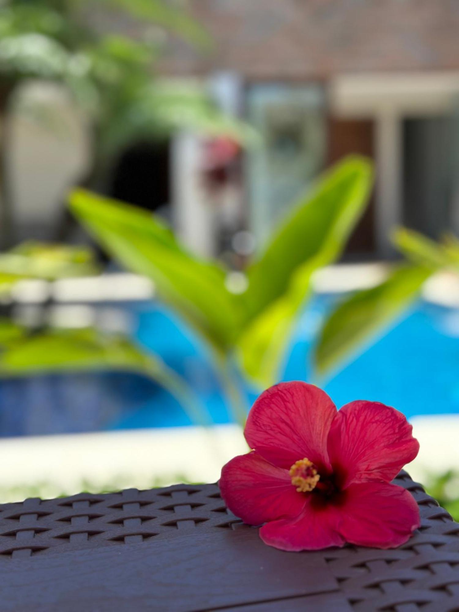 Jardim Do Rio Suítes Apartamento