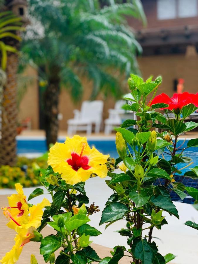 Jardim Do Rio Apartment